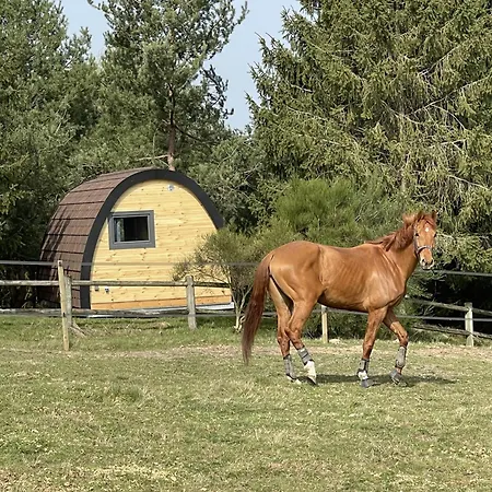 Séjour à la campagne Domaine De La Butte Ronde La Boissiere-Ecole